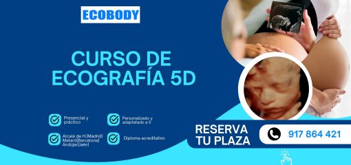 Blue and Tosca Modern Reliable Insurance Solutions Banner (8)